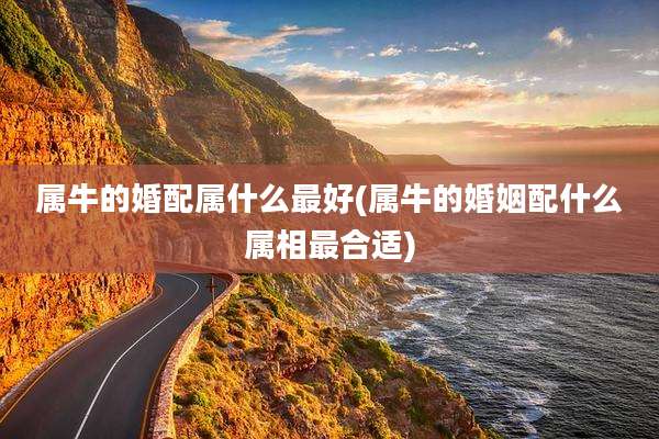 属牛的婚配属什么最好(属牛的婚姻配什么属相最合适)