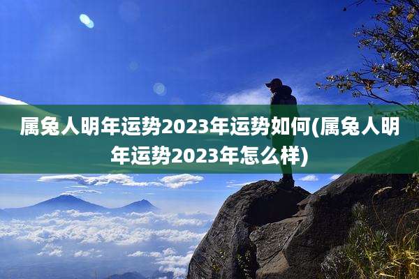 属兔人明年运势2023年运势如何(属兔人明年运势2023年怎么样)