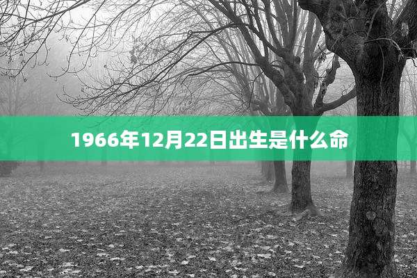 1966年12月22日出生是什么命
