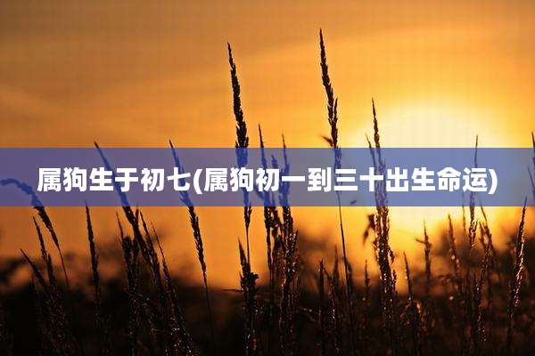 属狗生于初七(属狗初一到三十出生命运)