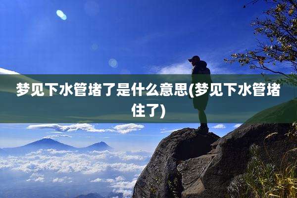 梦见下水管堵了是什么意思(梦见下水管堵住了)