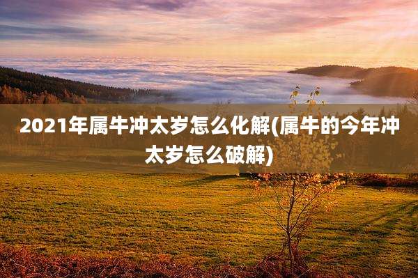 2021年属牛冲太岁怎么化解(属牛的今年冲太岁怎么破解)