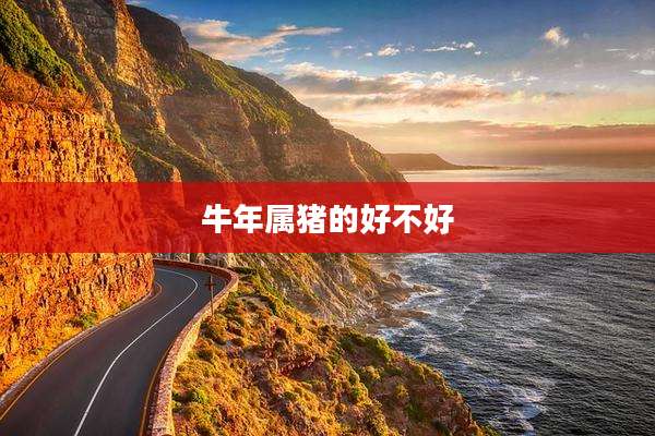 牛年属猪的好不好