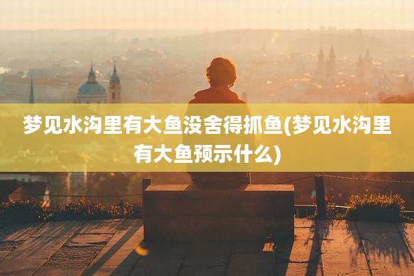 梦见水沟里有大鱼没舍得抓鱼(梦见水沟里有大鱼预示什么)
