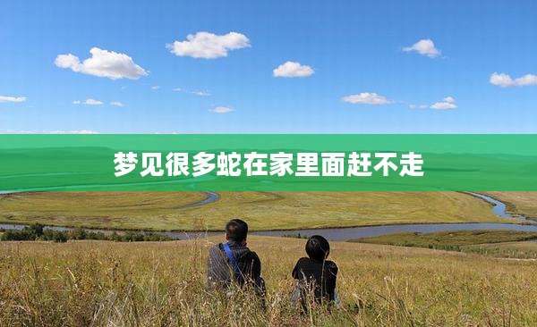 梦见很多蛇在家里面赶不走
