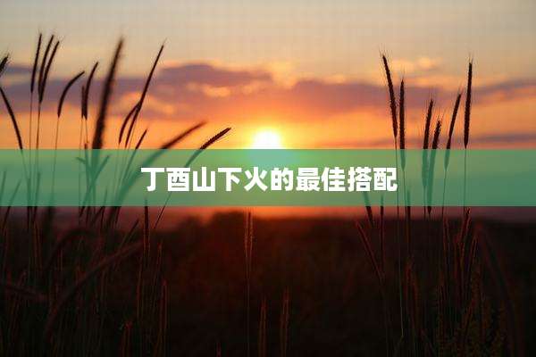 丁酉山下火的最佳搭配