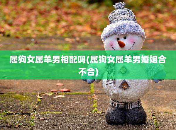 属狗女属羊男相配吗(属狗女属羊男婚姻合不合)