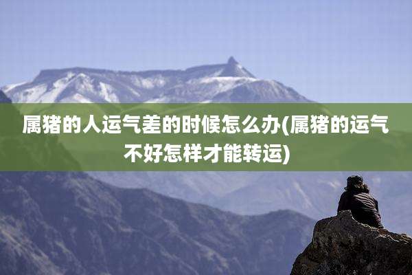 属猪的人运气差的时候怎么办(属猪的运气不好怎样才能转运)