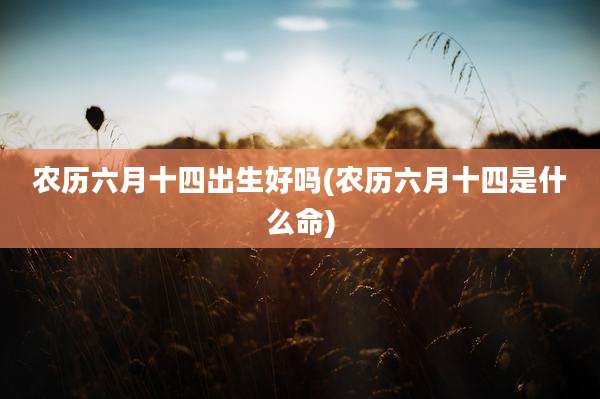 农历六月十四出生好吗(农历六月十四是什么命)