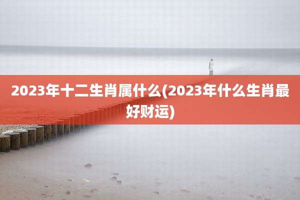 2023年十二生肖属什么(2023年什么生肖最好财运)