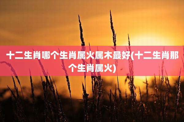 十二生肖哪个生肖属火属木最好(十二生肖那个生肖属火)