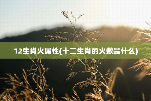12生肖火属性(十二生肖的火数是什么)