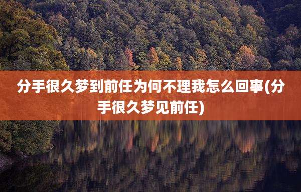 分手很久梦到前任为何不理我怎么回事(分手很久梦见前任)