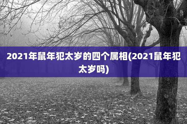 2021年鼠年犯太岁的四个属相(2021鼠年犯太岁吗)