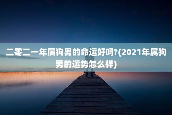 二零二一年属狗男的命运好吗?(2021年属狗男的运势怎么样)