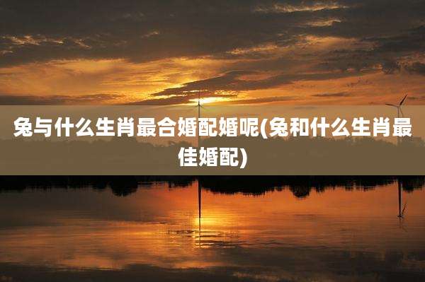 兔与什么生肖最合婚配婚呢(兔和什么生肖最佳婚配)