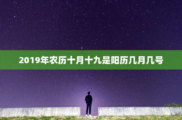 2019年农历十月十九是阳历几月几号