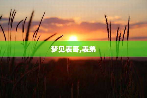 梦见表哥,表弟