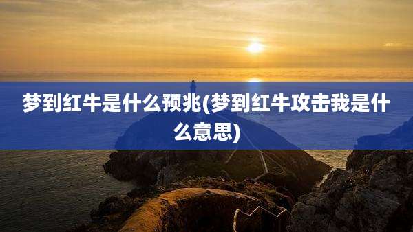 梦到红牛是什么预兆(梦到红牛攻击我是什么意思)