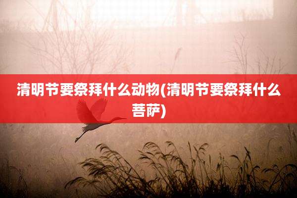 清明节要祭拜什么动物(清明节要祭拜什么菩萨)