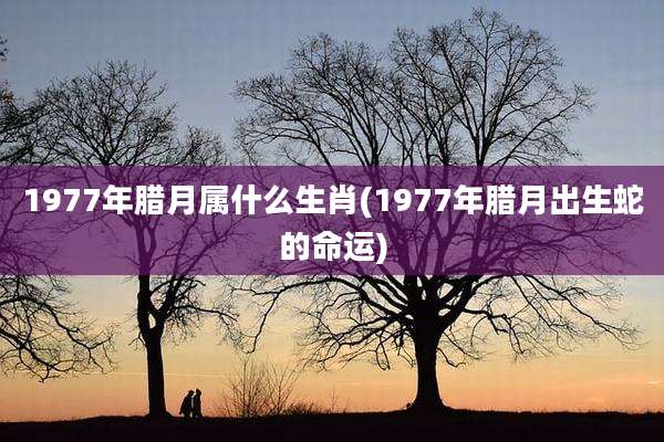 1977年腊月属什么生肖(1977年腊月出生蛇的命运)