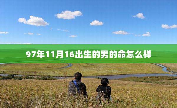 97年11月16出生的男的命怎么样