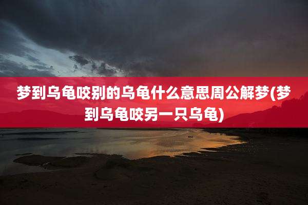 梦到乌龟咬别的乌龟什么意思周公解梦(梦到乌龟咬另一只乌龟)