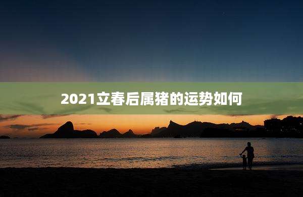 2021立春后属猪的运势如何