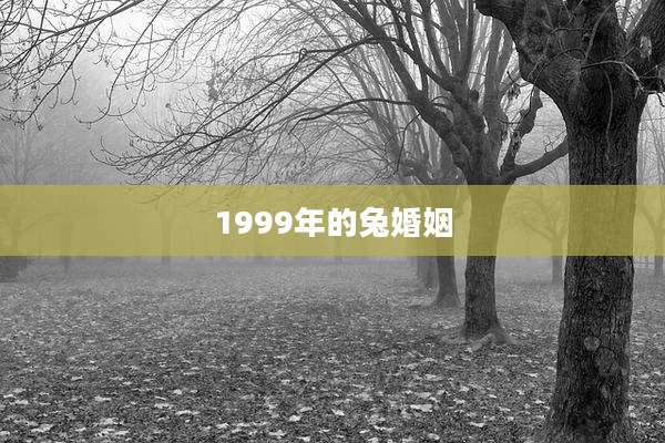1999年的兔婚姻