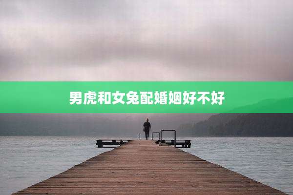 男虎和女兔配婚姻好不好