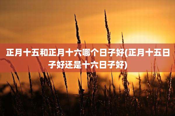 正月十五和正月十六哪个日子好(正月十五日子好还是十六日子好)