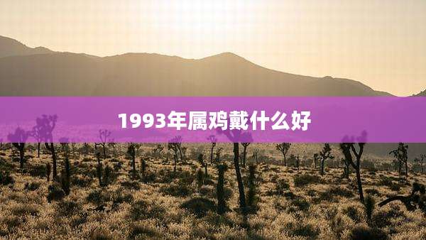 1993年属鸡戴什么好