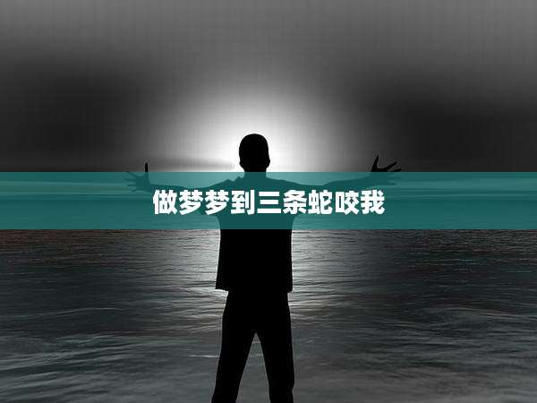做梦梦到三条蛇咬我