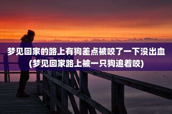 梦见回家的路上有狗差点被咬了一下没出血(梦见回家路上被一只狗追着咬)