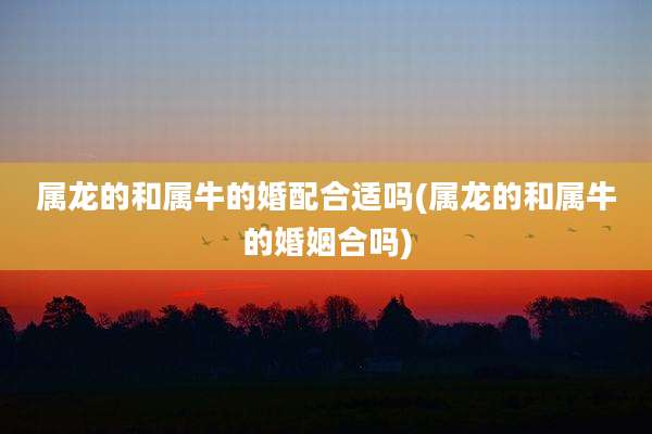 属龙的和属牛的婚配合适吗(属龙的和属牛的婚姻合吗)