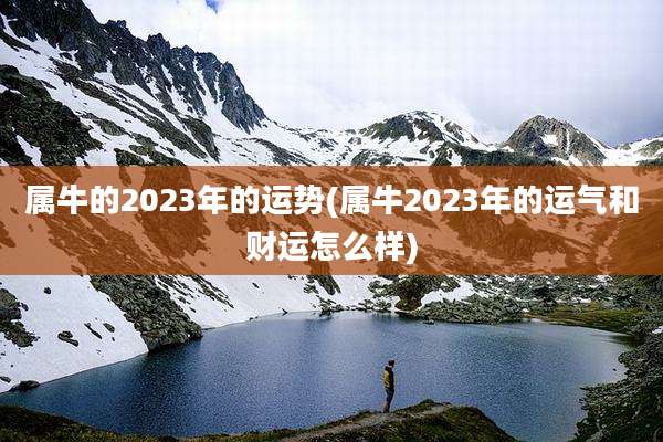 属牛的2023年的运势(属牛2023年的运气和财运怎么样)