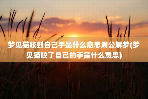 梦见猫咬到自己手是什么意思周公解梦(梦见猫咬了自己的手是什么意思)
