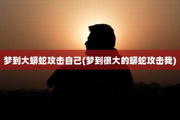 梦到大蟒蛇攻击自己(梦到很大的蟒蛇攻击我)