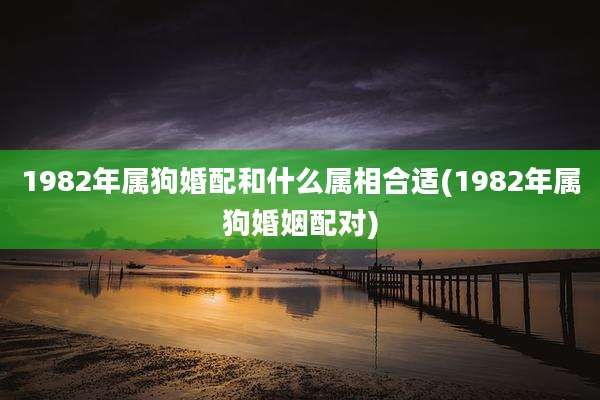 1982年属狗婚配和什么属相合适(1982年属狗婚姻配对)