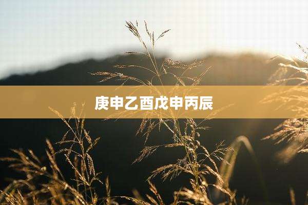 庚申乙酉戊申丙辰