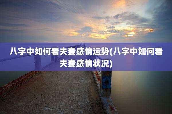 八字中如何看夫妻感情运势(八字中如何看夫妻感情状况)