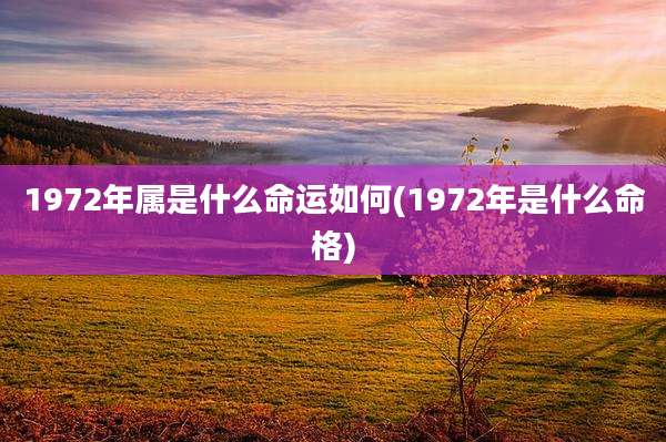 1972年属是什么命运如何(1972年是什么命格)