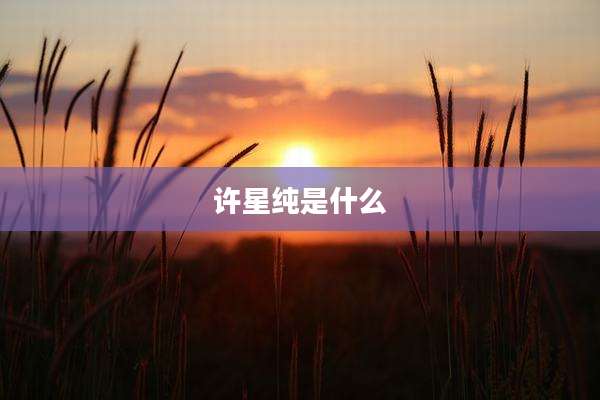 许星纯是什么