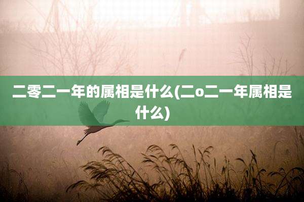 二零二一年的属相是什么(二o二一年属相是什么)