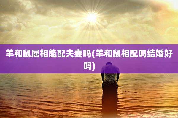羊和鼠属相能配夫妻吗(羊和鼠相配吗结婚好吗)