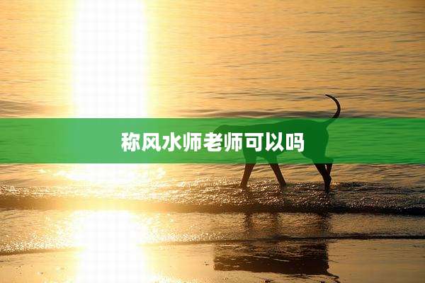 称风水师老师可以吗