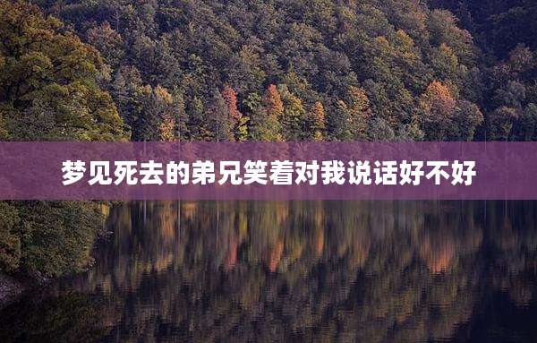 梦见死去的弟兄笑着对我说话好不好