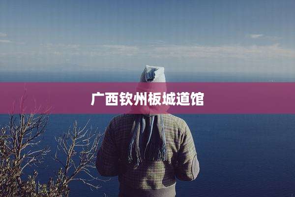 广西钦州板城道馆