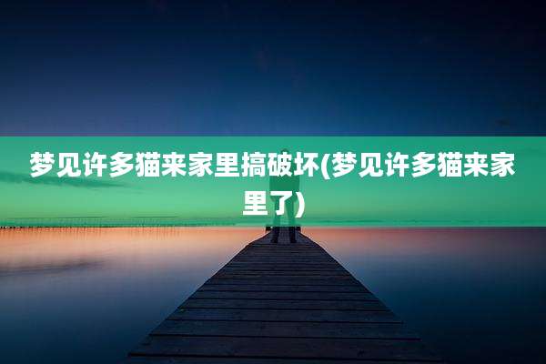 梦见许多猫来家里搞破坏(梦见许多猫来家里了)