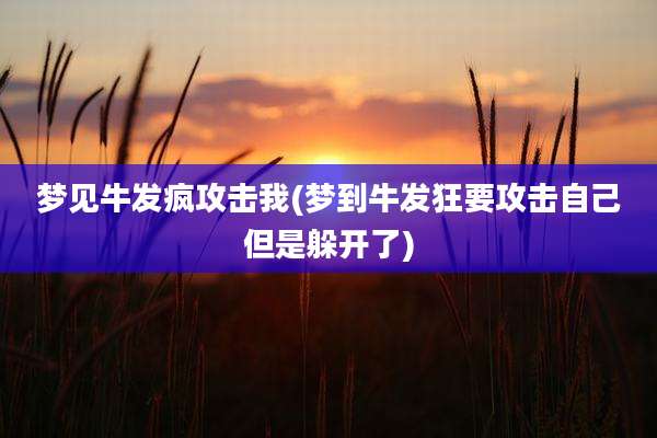 梦见牛发疯攻击我(梦到牛发狂要攻击自己但是躲开了)